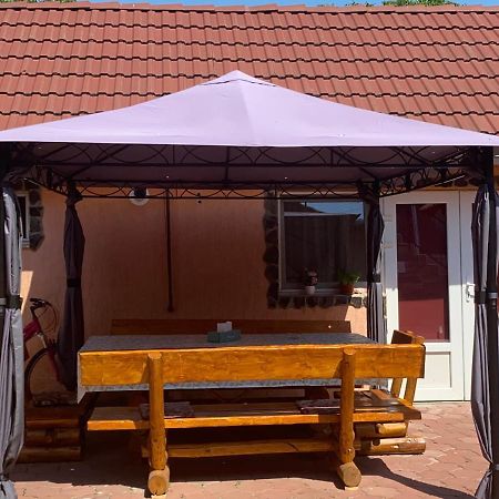 Casa Blendea Daniela 호텔 Cîrţişoara 외부 사진