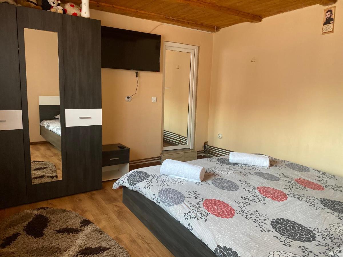 Casa Blendea Daniela 호텔 Cîrţişoara 외부 사진
