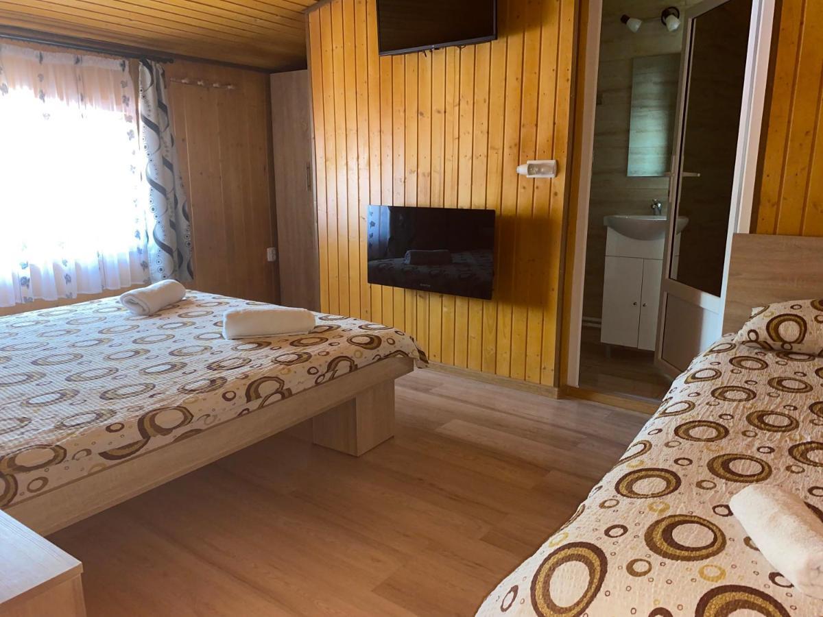 Casa Blendea Daniela 호텔 Cîrţişoara 외부 사진