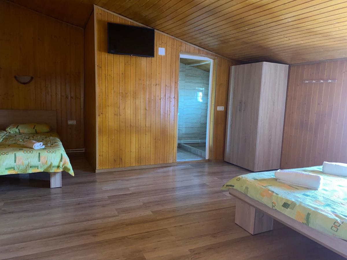Casa Blendea Daniela 호텔 Cîrţişoara 외부 사진