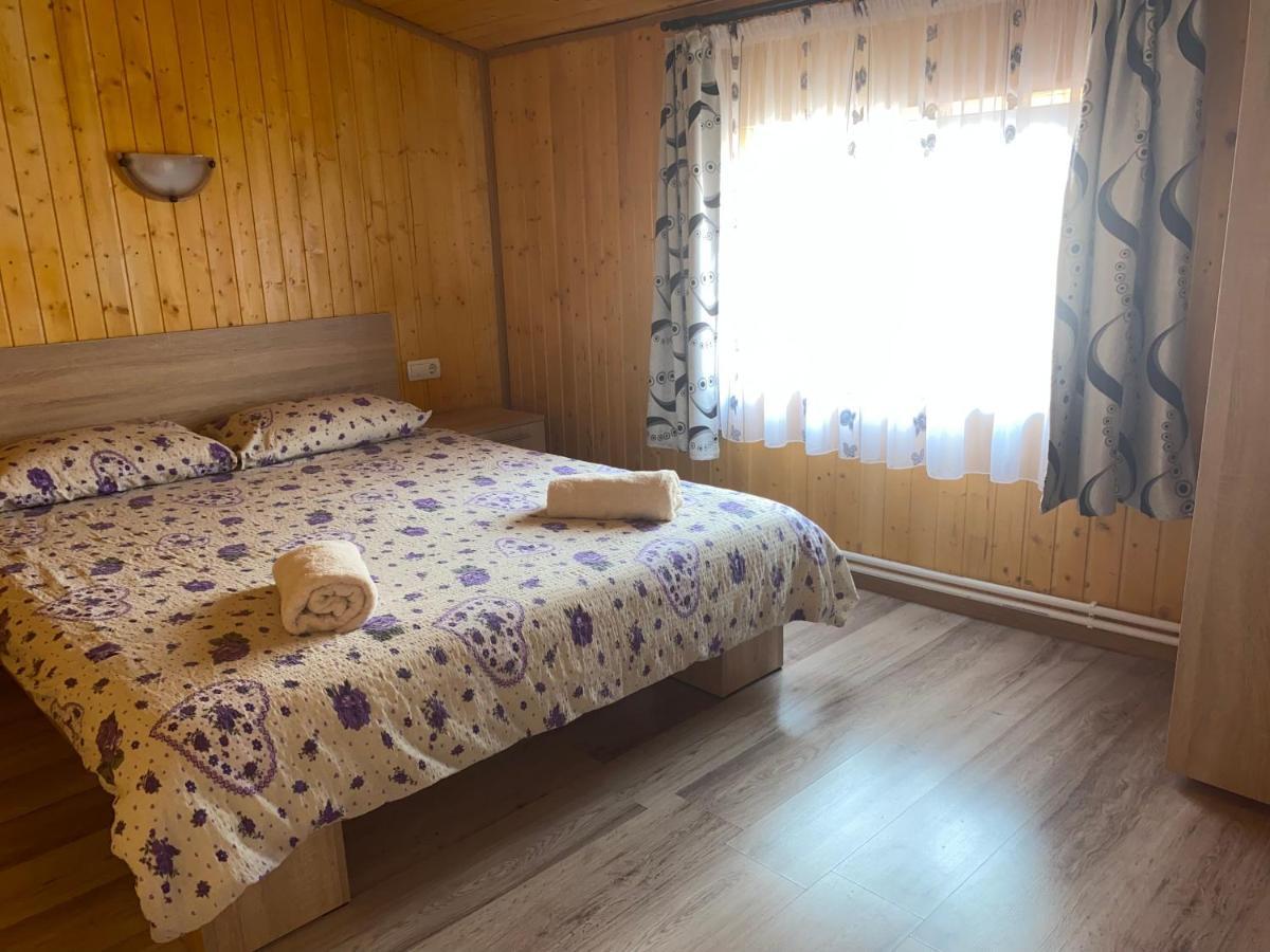 Casa Blendea Daniela 호텔 Cîrţişoara 외부 사진