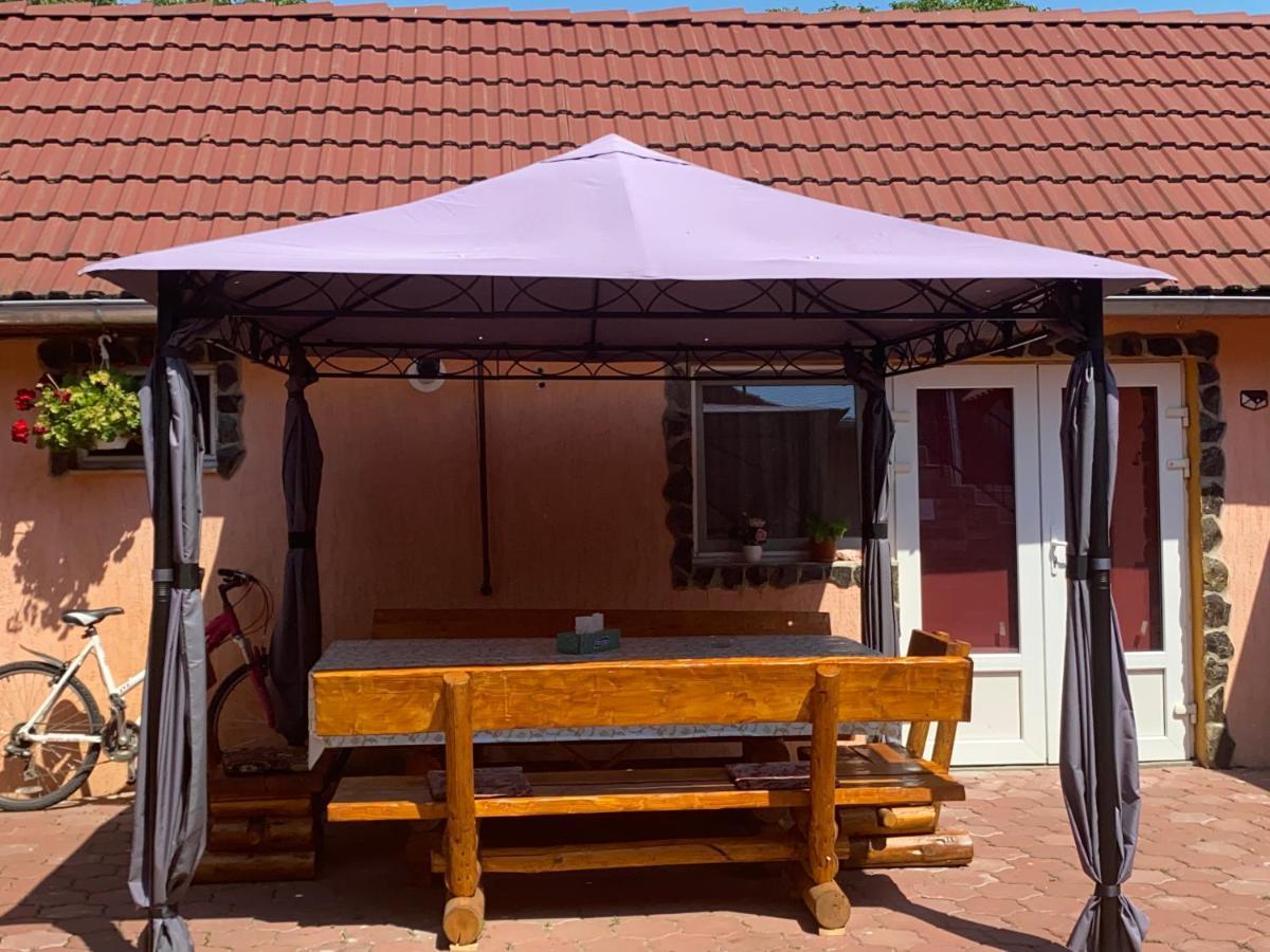 Casa Blendea Daniela 호텔 Cîrţişoara 외부 사진