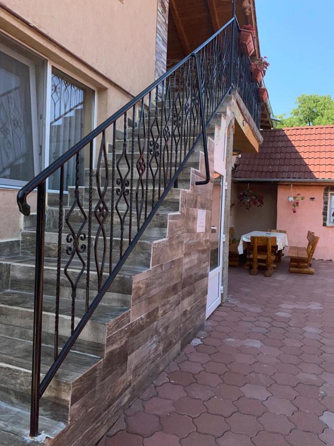 Casa Blendea Daniela 호텔 Cîrţişoara 외부 사진