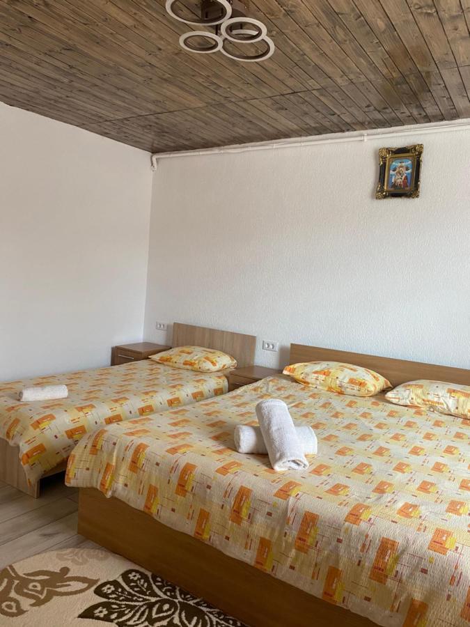 Casa Blendea Daniela 호텔 Cîrţişoara 외부 사진