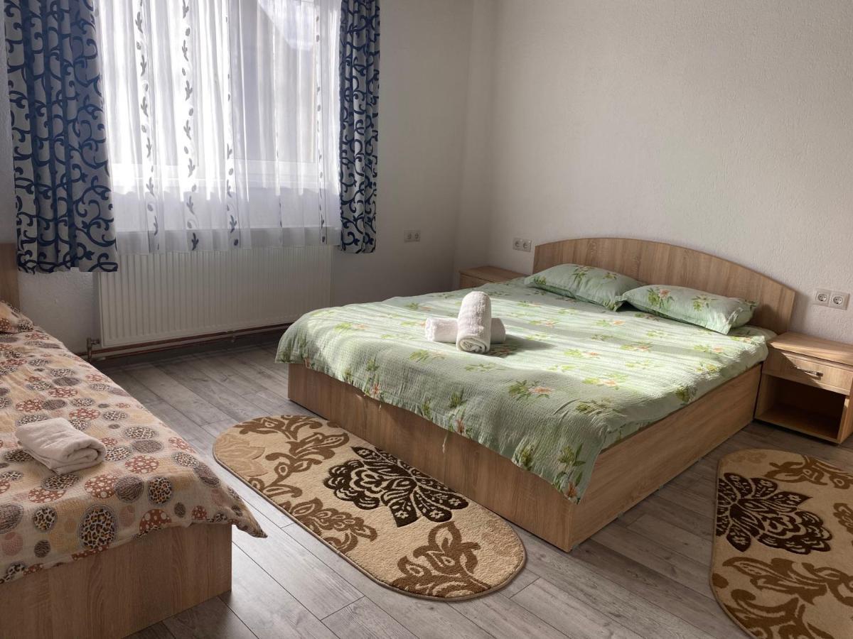 Casa Blendea Daniela 호텔 Cîrţişoara 외부 사진