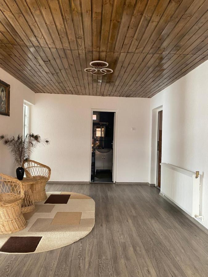 Casa Blendea Daniela 호텔 Cîrţişoara 외부 사진